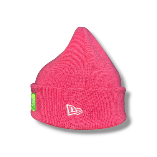 Supreme Shorts Pink