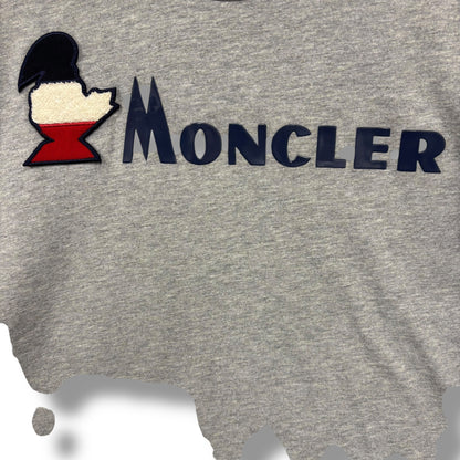 Moncler t-shirt, small, grey