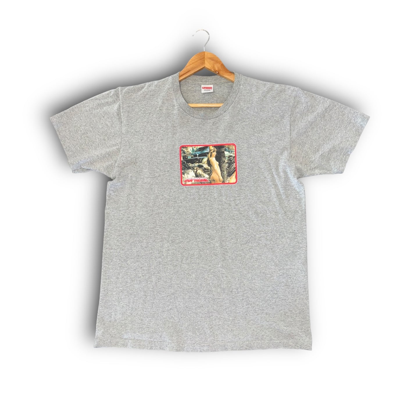 Supreme t-shirt, medium, graphic print, grey