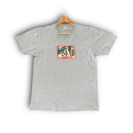 Supreme t-shirt, medium, graphic print, grey